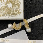 Dior earrings