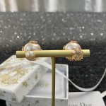 Dior earrings