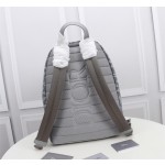 Dior Rider Backpack Model: 1ESBA088 (Grey Cowhide)