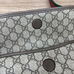 GUCCI Bodypack Series Model 598113