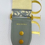 Dior 岩石灰罗马肩带