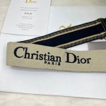 Dior 字母蓝肩带