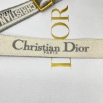 Dior 新款可调节肩带