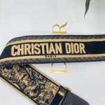 Dior 老虎蓝肩带