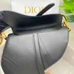 Dior saddle palm print collection