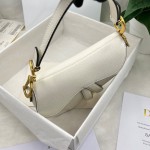 Dior saddle palm print collection