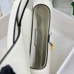 Dior saddle palm print collection