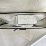 Dior saddle palm print collection