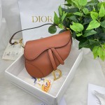 Dior saddle palm print collection