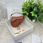 Dior saddle palm print collection