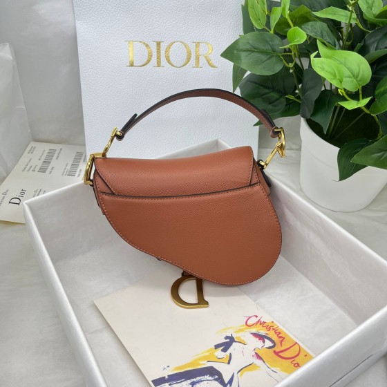 Dior saddle palm print collection
