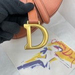 Dior saddle palm print collection