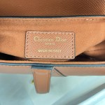 Dior saddle palm print collection