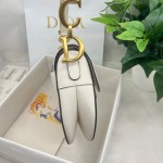 Dior saddle palm print collection