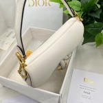 Dior saddle palm print collection