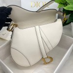 Dior saddle palm print collection