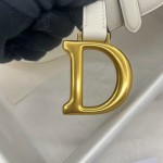 Dior saddle palm print collection