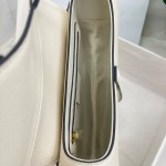 Dior saddle palm print collection