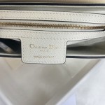 Dior saddle palm print collection