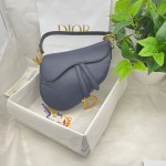 Dior saddle palm print collection