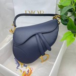 Dior saddle palm print collection