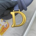 Dior saddle palm print collection