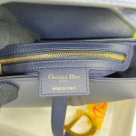 Dior saddle palm print collection