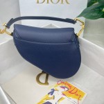 Dior saddle palm print collection