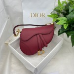 Dior saddle palm print collection