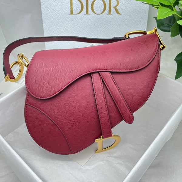 Dior saddle palm print collection