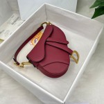 Dior saddle palm print collection