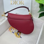 Dior saddle palm print collection
