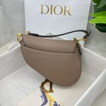 Dior saddle palm print collection