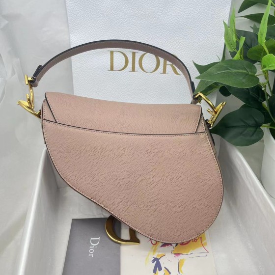 Dior saddle palm print collection