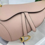 Dior saddle palm print collection