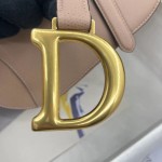 Dior saddle palm print collection