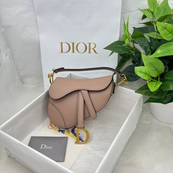 Dior saddle palm print collection