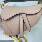 Dior saddle palm print collection