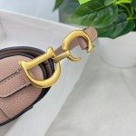 Dior saddle palm print collection