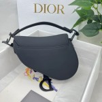 Dior saddle scrub series