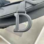 Dior saddle scrub series