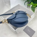 Dior saddle ball print collection