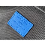 Louis Vuitton old flower with leather backpack