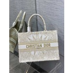 DIOR TOTE Christmas Gold Line Stargazer