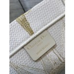 DIOR TOTE Christmas Gold Line Stargazer