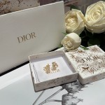 Dior earrings