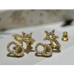 Dior earrings