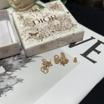 Dior earrings