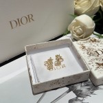 Dior earrings