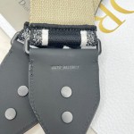 Dior 磨砂黑肩带